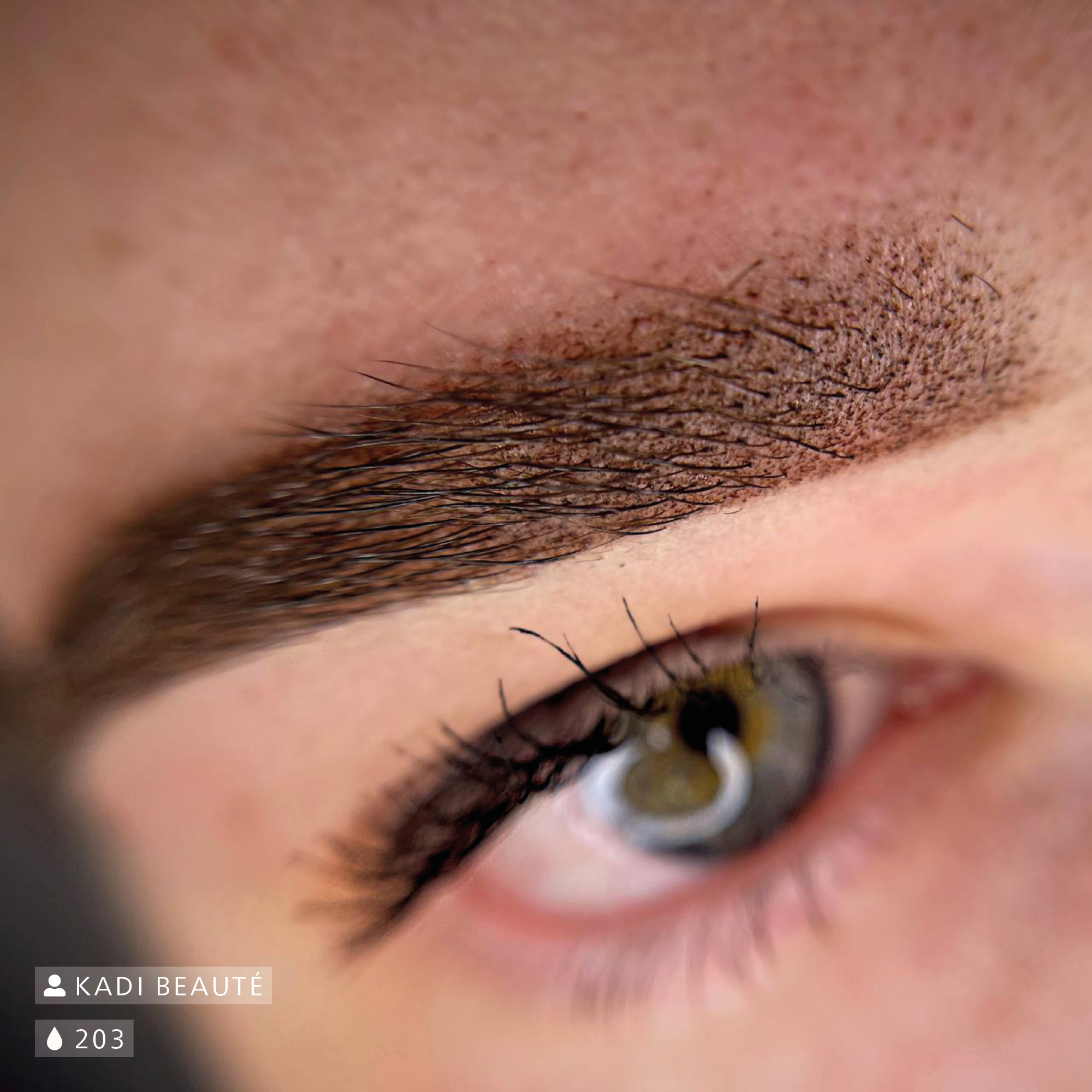 Chocolate Brown