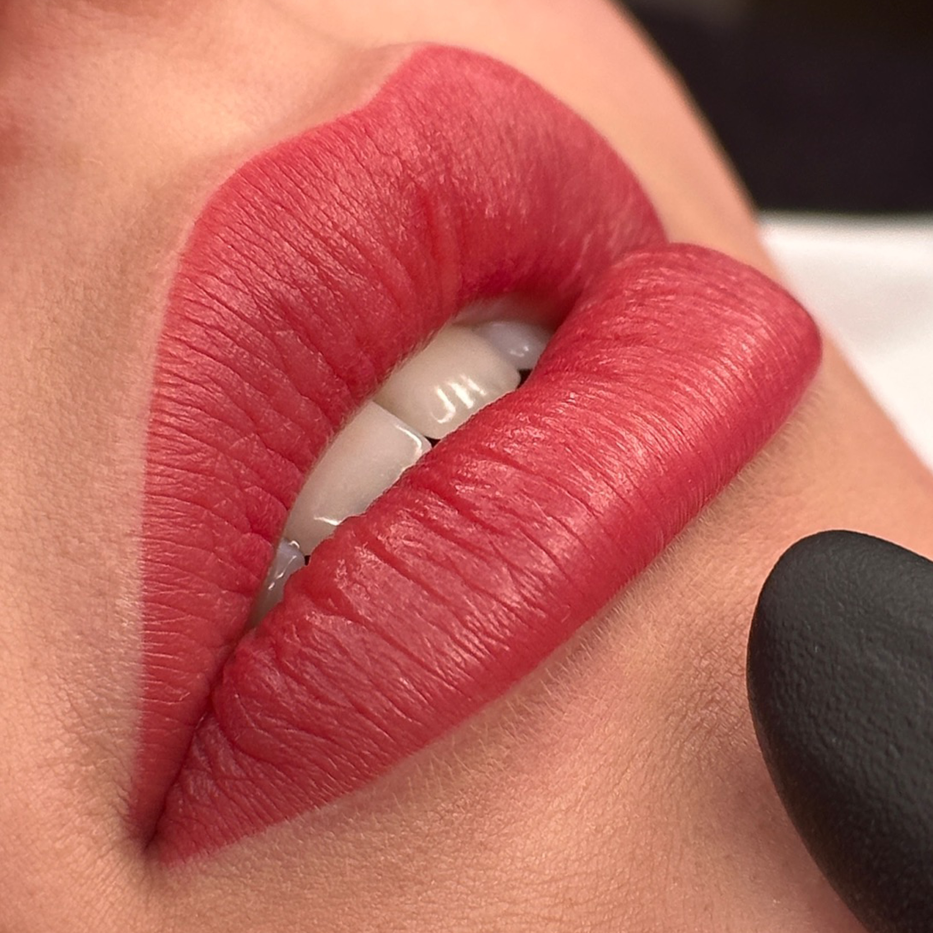 lisa_schmidt_lip_1