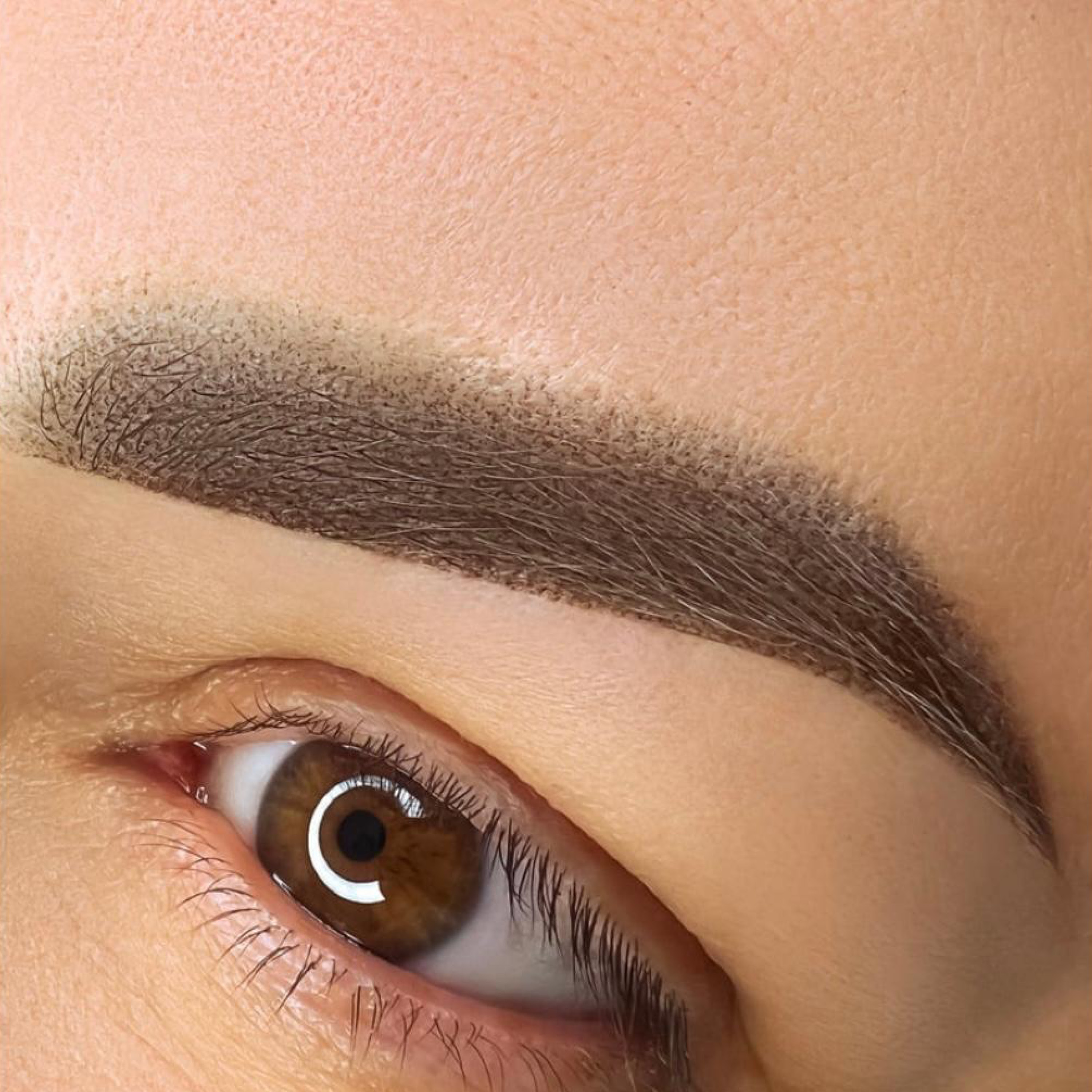 birgit_wallinger_brow_1