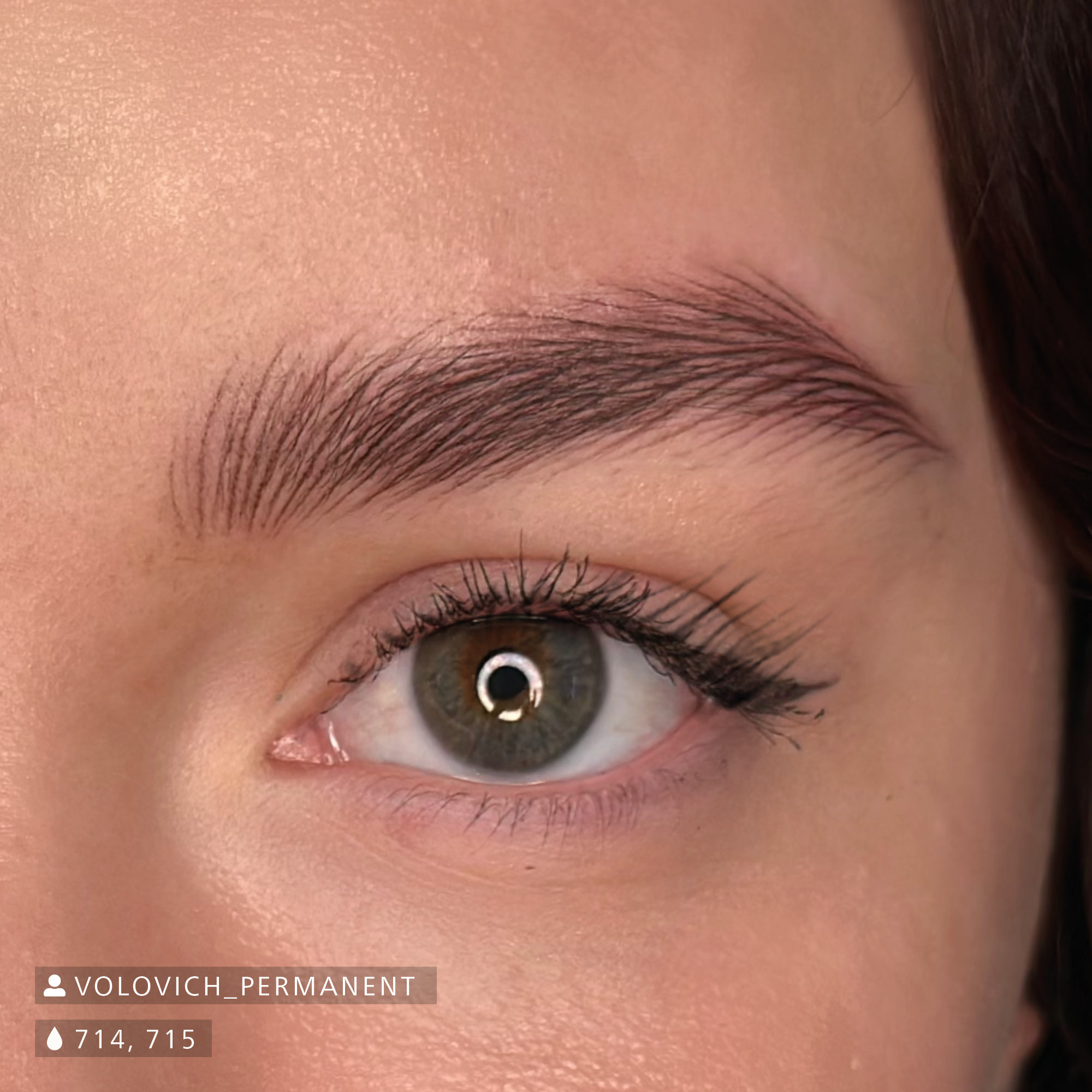 Medium Brown